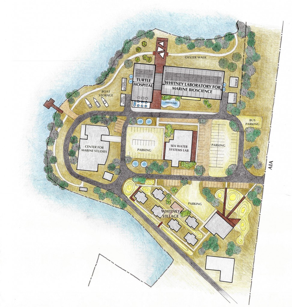 UF_WHITNEY_Site-Plan_small